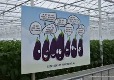 Promotie van de aubergine.